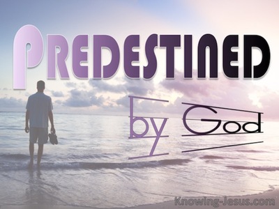 Romans 8:29 Those He Foreknew He Predestined : by God (devotional)12:02 (pink)